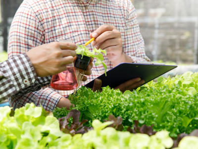 A Case for Reinforcing Agri-food Research and Development Spending: Where Does Canada Stand Internationally?